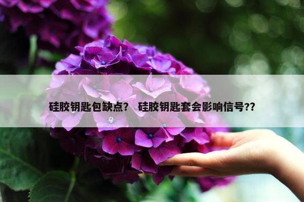硅胶钥匙包缺点？ 硅胶钥匙套会影响信号?？