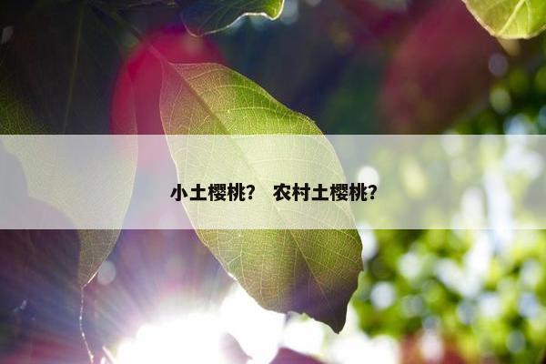 小土樱桃？ 农村土樱桃？