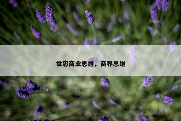 世忠商业思维，商界思维