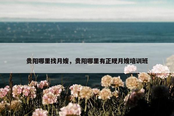 贵阳哪里找月嫂，贵阳哪里有正规月嫂培训班