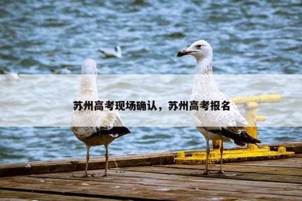 苏州高考现场确认，苏州高考报名