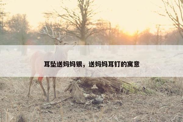 耳坠送妈妈银,送妈妈耳钉的寓意 耳坠送妈妈银,送妈妈耳钉的寓意