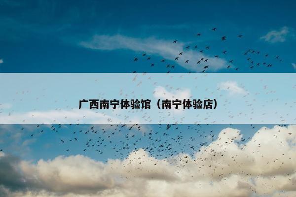广西南宁体验馆（南宁体验店）