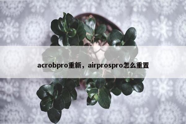 acrobpro重新，airprospro怎么重置