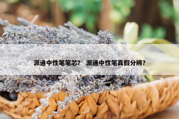 派通中性笔笔芯? 派通中性笔真假分辨? 派通中性笔笔芯? 派通中性笔真假分辨?