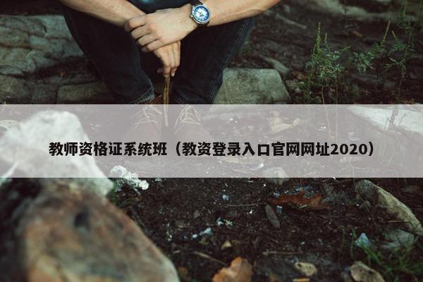 教师资格证系统班（教资登录入口官网网址2020）