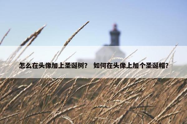 怎么在头像加上圣诞树? 如何在头像上加个圣诞帽? 怎么在头像加上圣诞树? 如何在头像上加个圣诞帽?