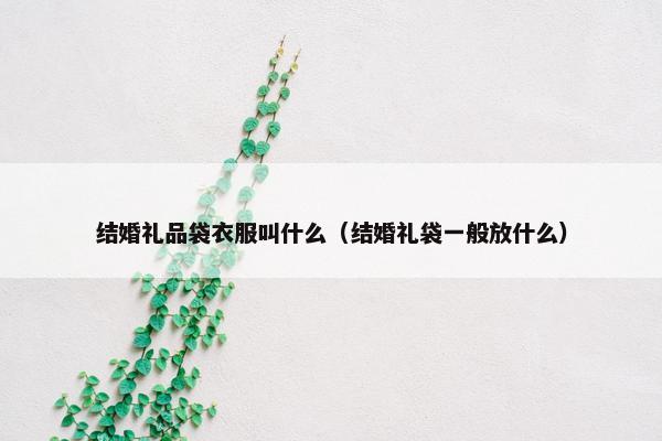 结婚礼品袋衣服叫什么（结婚礼袋一般放什么）