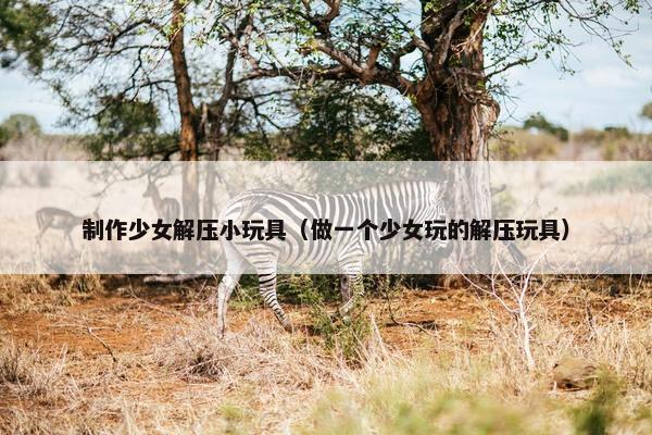 制作少女解压小玩具（做一个少女玩的解压玩具）