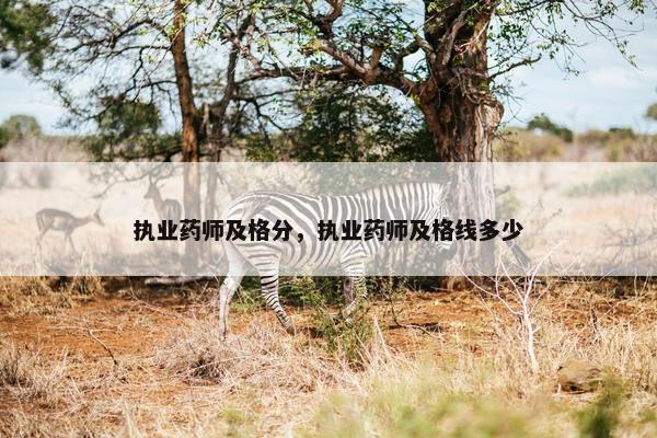 执业药师及格分，执业药师及格线多少