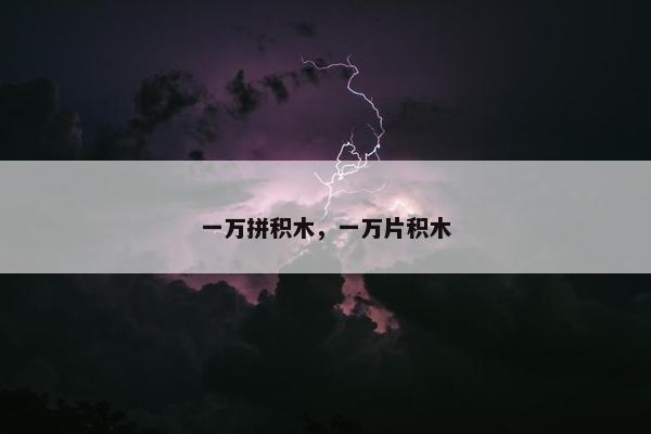 一万拼积木，一万片积木