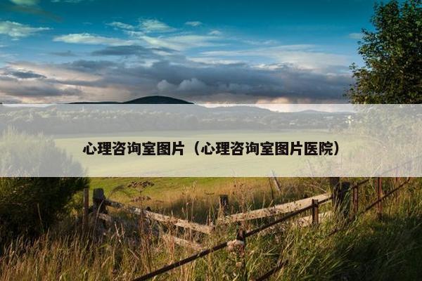 心理咨询室图片(心理咨询室图片医院) 心理咨询室图片(心理咨询室图片医院)