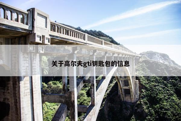 关于高尔夫gti钥匙包的信息