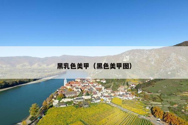 黑乳色美甲（黑色美甲图）