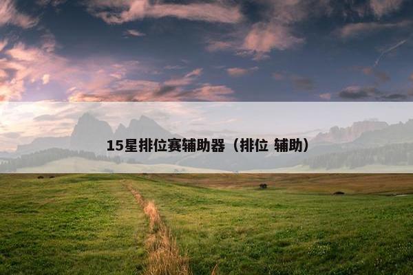 15星排位赛辅助器（排位 辅助）