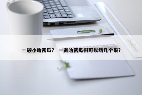 一颗小哈密瓜? 一颗哈密瓜树可以结几个果? 一颗小哈密瓜? 一颗哈密瓜树可以结几个果?