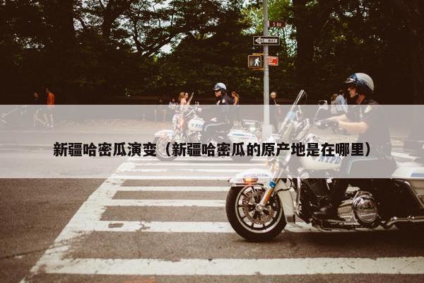 新疆哈密瓜演变（新疆哈密瓜的原产地是在哪里）