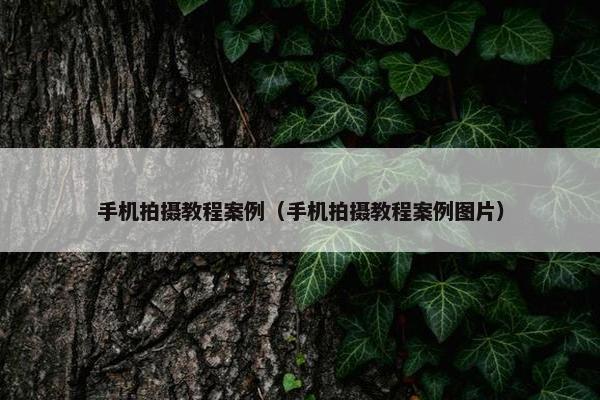 手机拍摄教程案例（手机拍摄教程案例图片）