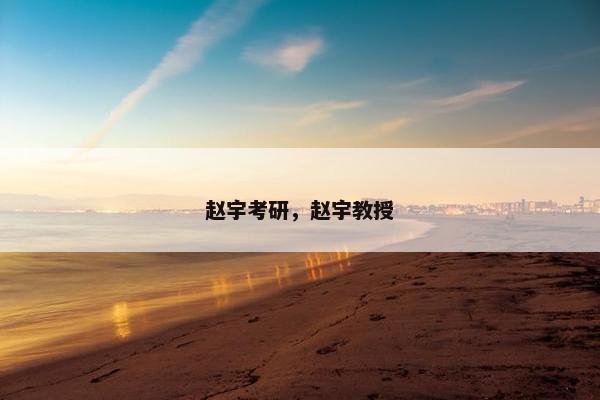 赵宇考研，赵宇教授