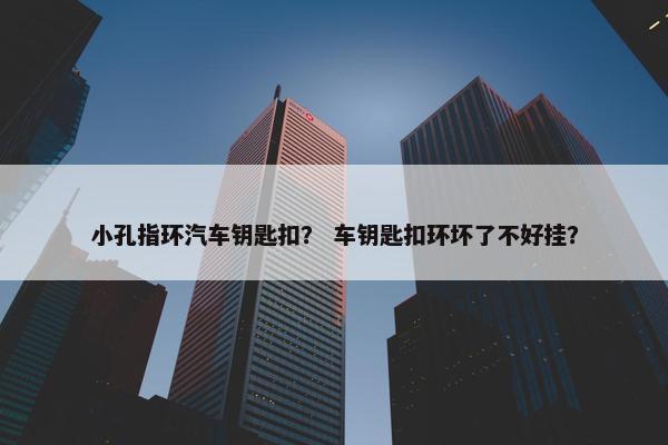 小孔指环汽车钥匙扣？ 车钥匙扣环坏了不好挂？