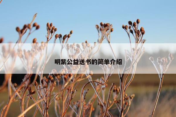明紫公益送书的简单介绍