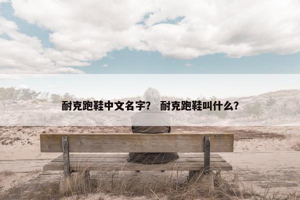 耐克跑鞋中文名字？ 耐克跑鞋叫什么？