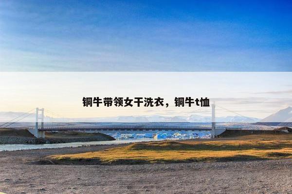 铜牛带领女干洗衣，铜牛t恤