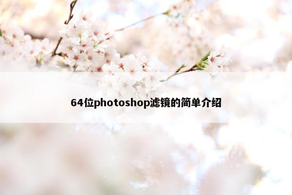 64位photoshop滤镜的简单介绍