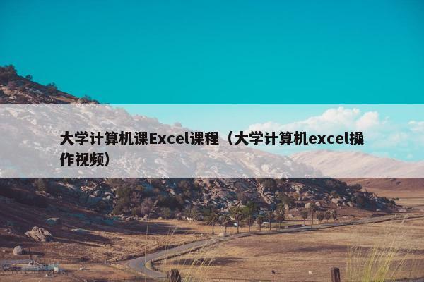 大学计算机课Excel课程（大学计算机excel操作视频）