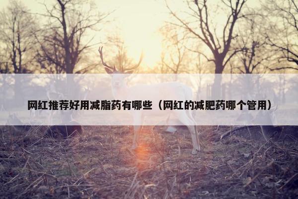 网红推荐好用减脂药有哪些（网红的减肥药哪个管用）