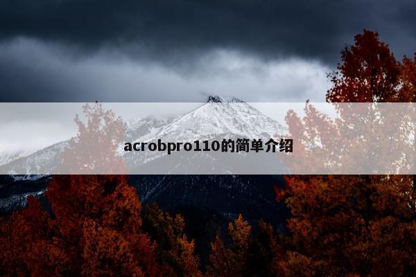 acrobpro110的简单介绍
