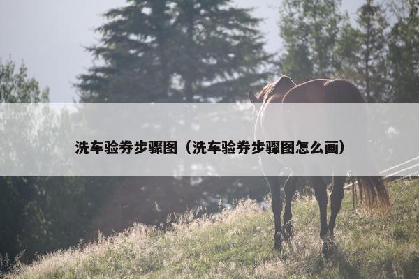 洗车验券步骤图（洗车验券步骤图怎么画）