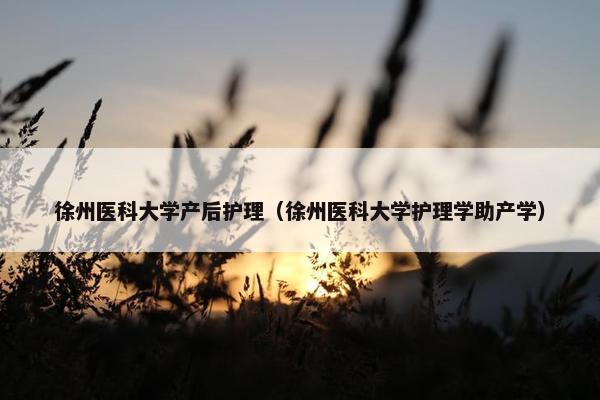 徐州医科大学产后护理(徐州医科大学护理学助产学) 徐州医科大学产后护理(徐州医科大学护理学助产学)