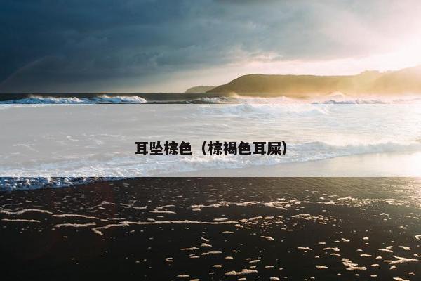 耳坠棕色(棕褐色耳屎) 耳坠棕色(棕褐色耳屎)