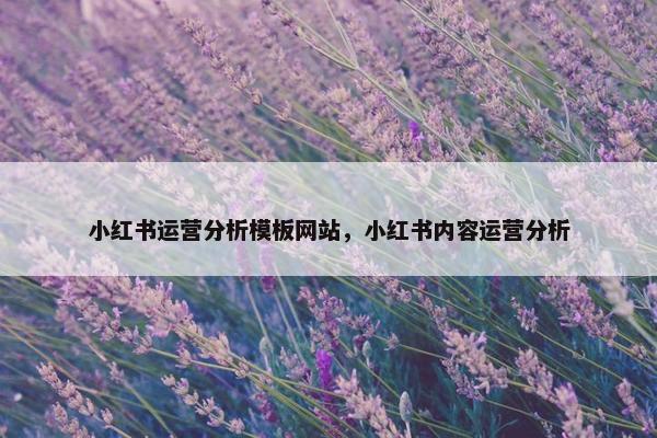 小红书运营分析模板网站，小红书内容运营分析