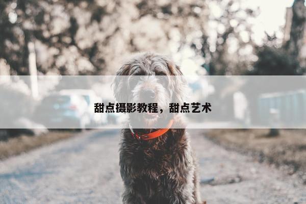 甜点摄影教程，甜点艺术