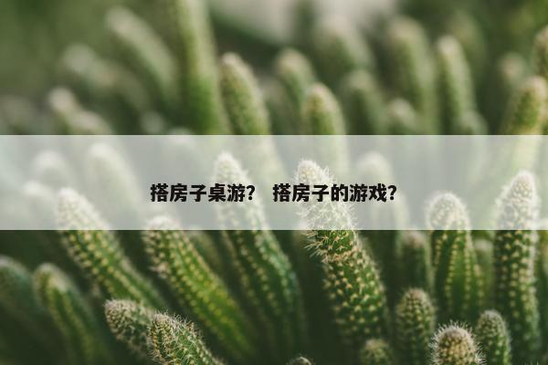 搭房子桌游? 搭房子的游戏? 搭房子桌游? 搭房子的游戏?
