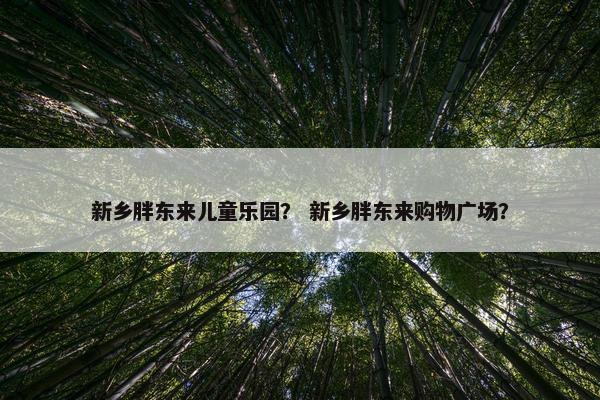新乡胖东来儿童乐园？ 新乡胖东来购物广场？