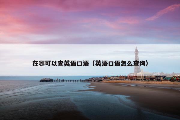 在哪可以查英语口语（英语口语怎么查询）