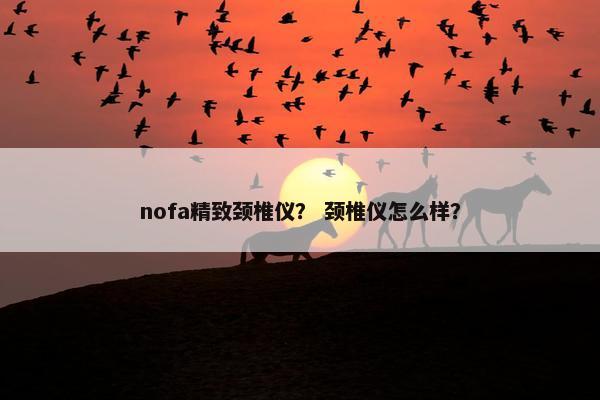 nofa精致颈椎仪？ 颈椎仪怎么样？