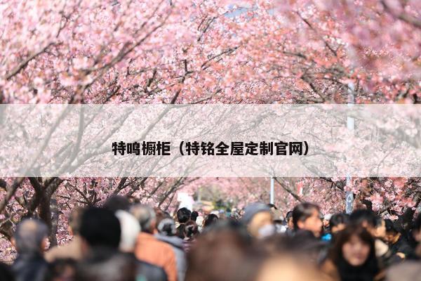 特鸣橱柜（特铭全屋定制官网）