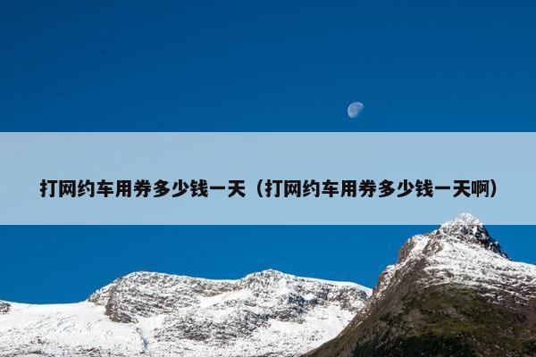 打网约车用券多少钱一天（打网约车用券多少钱一天啊）