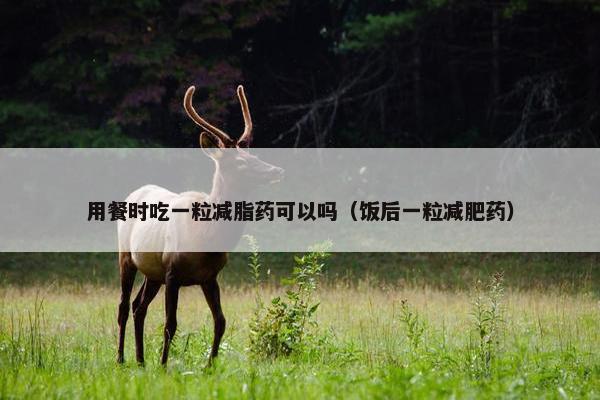用餐时吃一粒减脂药可以吗(饭后一粒减肥药) 用餐时吃一粒减脂药可以吗(饭后一粒减肥药)