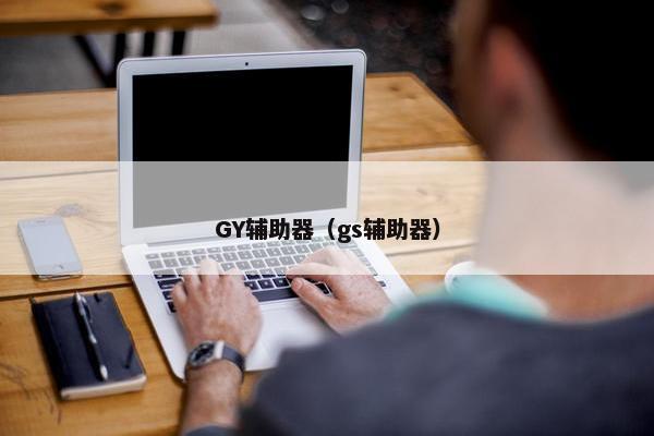 GY辅助器(gs辅助器) GY辅助器(gs辅助器)