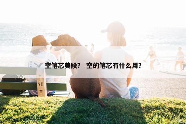 空笔芯美段？ 空的笔芯有什么用？