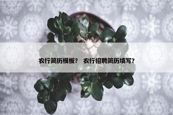 农行简历模板？ 农行招聘简历填写？