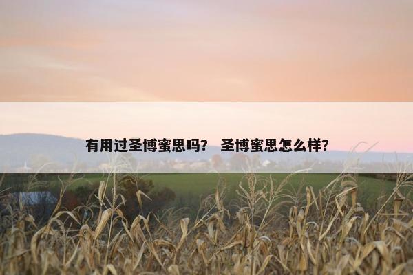 有用过圣博蜜思吗？ 圣博蜜思怎么样？