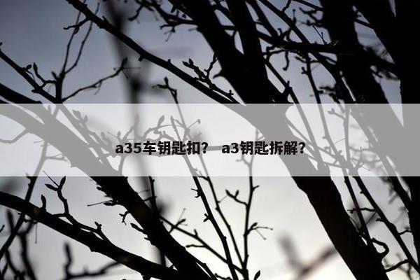 a35车钥匙扣? a3钥匙拆解? a35车钥匙扣? a3钥匙拆解?