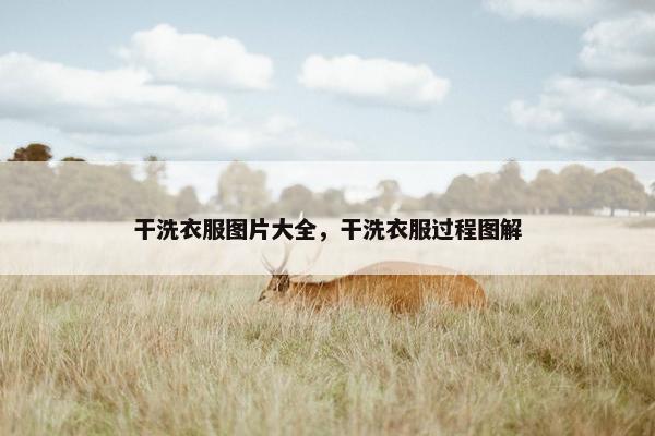 干洗衣服图片大全，干洗衣服过程图解
