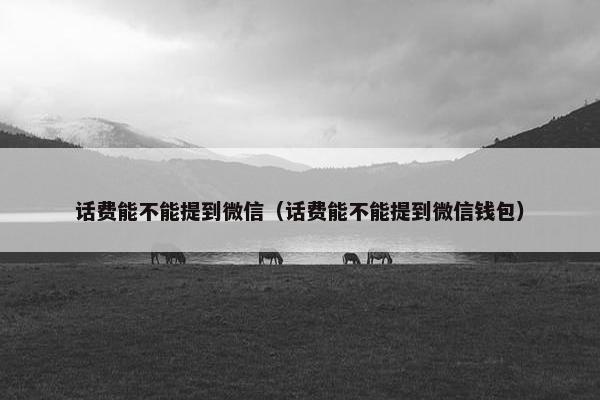 话费能不能提到微信（话费能不能提到微信钱包）
